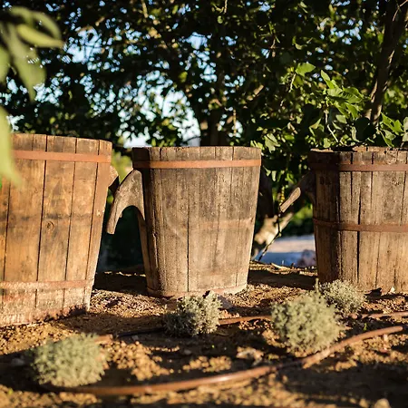 Ses Vistes Agroturismo Porreras